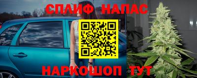 мдпв Славгород