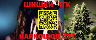 мдпв Славгород