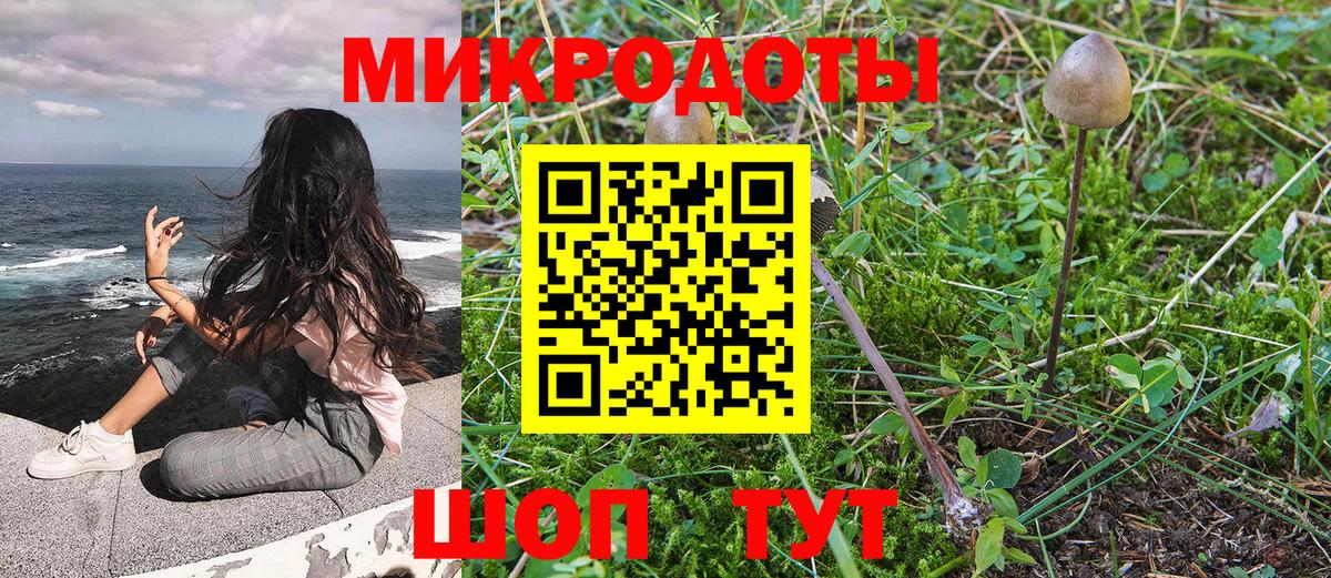 Галлюциногенные грибы Magic Shrooms Мытищи
