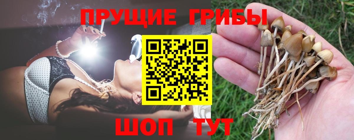 Псилоцибиновые грибы мицелий  Вход с VPN  Галлюциногенные грибы прущие грибы  Мытищи 